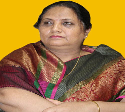 Principal of MVM Noida